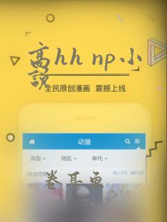 高hh np小说