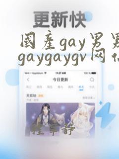 国产gay男男gaygaygv网站