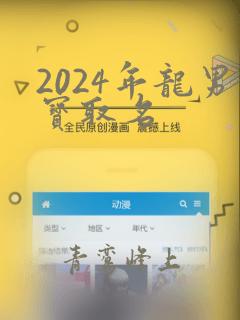 2024年龙男宝取名