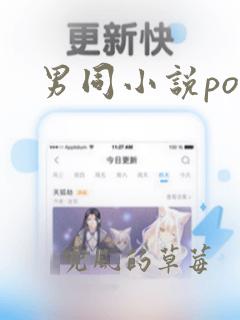 男同小说po文