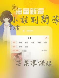 小说别闹薄先生txt