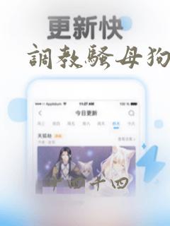 调教骚母狗微博