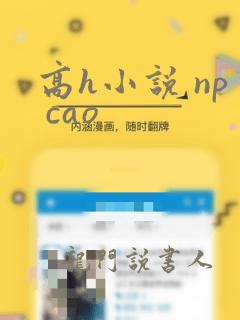 高h小说 np cao