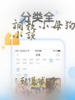 调教小母狗高h小说