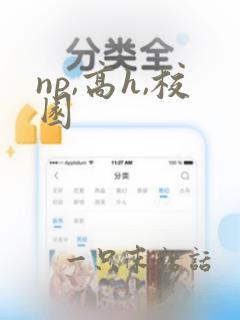 np,高h,校园