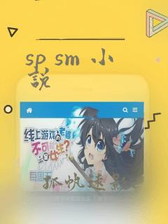 sp sm 小说