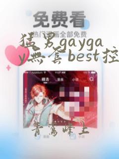 猛男gaygay无套best控精