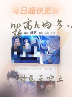 np高h肉多小说