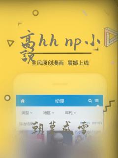 高hh np小说