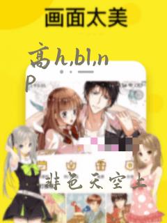 高h,bl,np