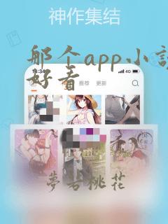 那个app小说好看