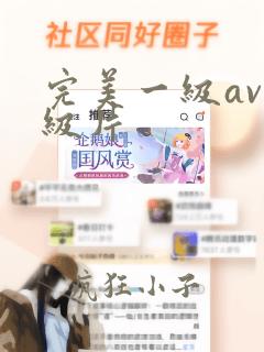 完美一级av一级片