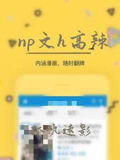 np文h高辣