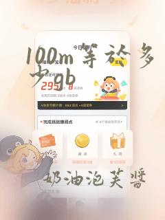 100m等于多少gb