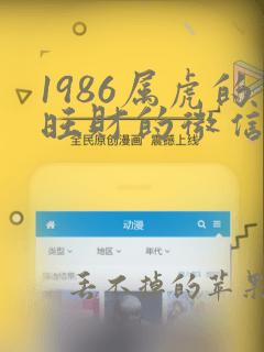 1986属虎的旺财的微信网名