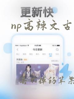 np高辣文古言