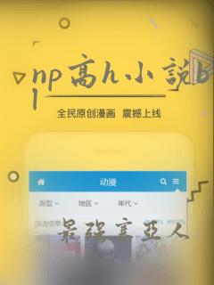 np高h小说bl