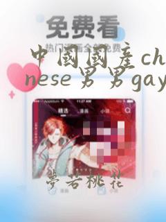 中国国产chinese男男gay