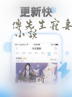 傅先生宠妻无度 小说