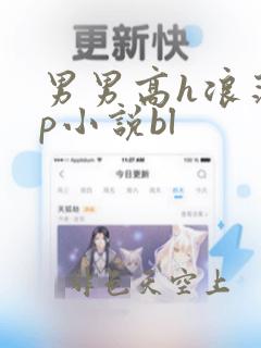 男男高h浪荡np小说bl