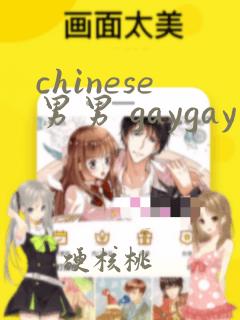 chinese男男 gaygay网站