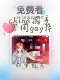 china国产男同gay片