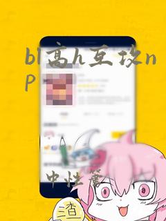 bl高h互攻np