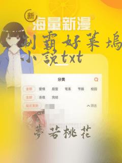 制霸好莱坞精校小说txt