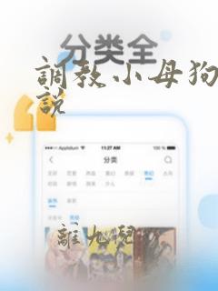 调教小母狗h小说