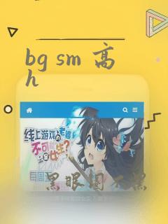 bg sm 高h