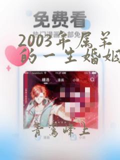 2003年属羊的一生婚姻怎样