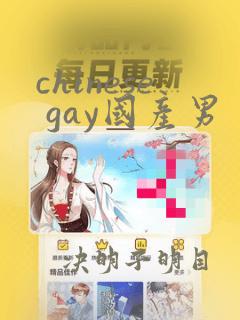 chinese gay国产男