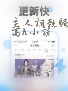 主人调教骚母狗高h小说