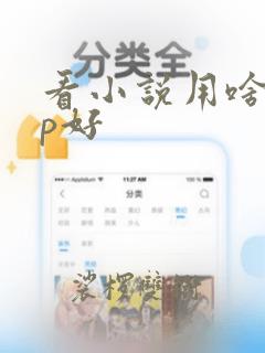 看小说用啥app好