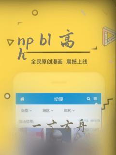 np bl 高h