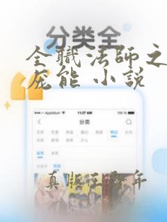 全职法师之天赋庞能 小说