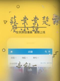 苏棠棠楚霖是什么小说