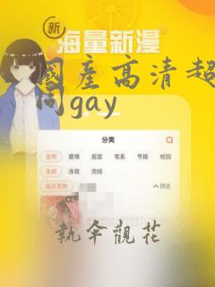 国产高清超帅男同gay