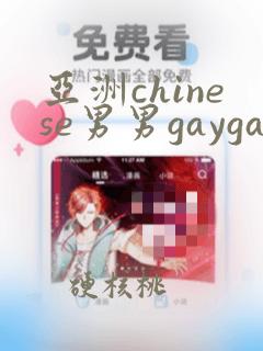 亚洲chinese男男gaygay网站