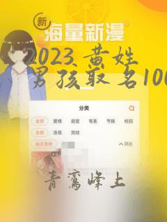 2023 黄姓男孩取名100分