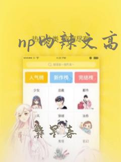 np肉辣文高h