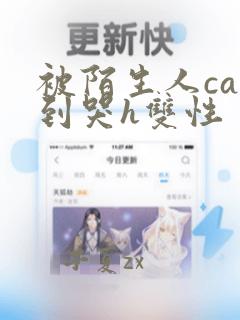 被陌生人cao到哭h双性