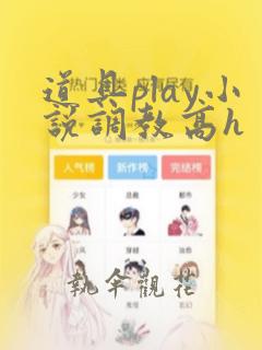 道具play小说调教高h