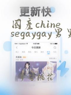 国产chinesegaygay男男