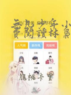 无凡少年小说免费阅读林枭全文