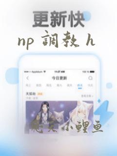 np 调教 h