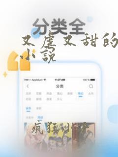 又虐又甜的言情小说