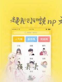 超h小说np文