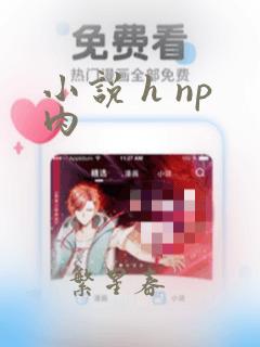 小说 h np肉