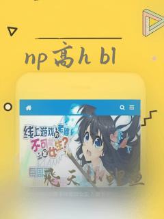 np高h bl